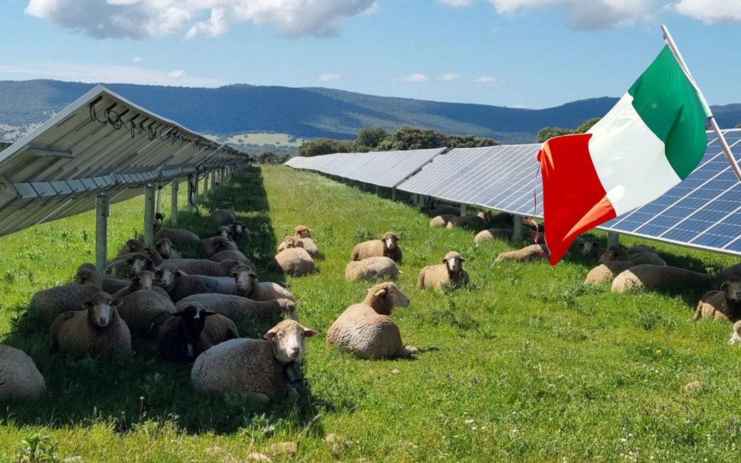 February 17, 2025Agrivoltaics could generate up to 22% of the country’s renewable energy by 2030