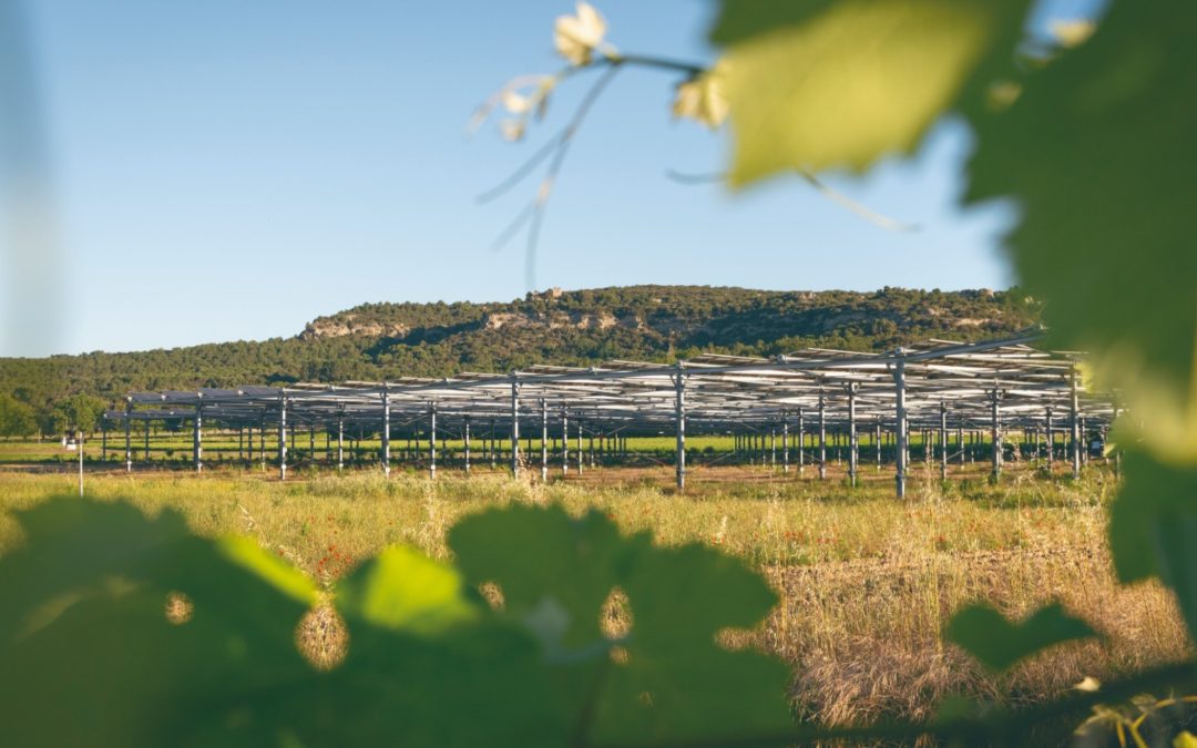 March 11, 2025AXIAL leads the agrivoltaic revolution in Europe with the launch of Axial Agrivoltaics Trackers