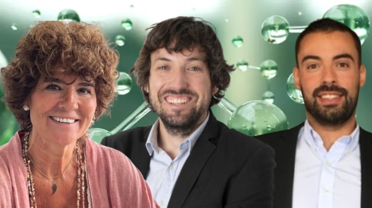 Spain dominates hydrogen auction but the system still falls short on long-term viability