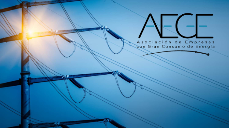 June 26, 2025AEGE celebra la exención del 80% de los peajes eléctricos