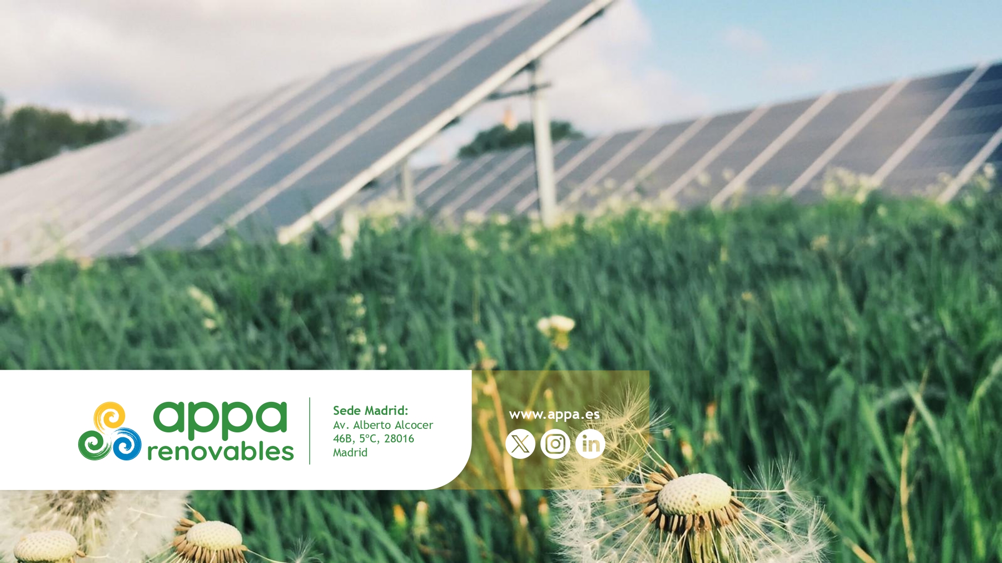 Renewables account for 61.6% of May's generation mix and drive record-low prices in the daily market