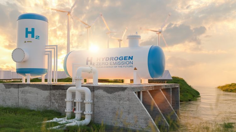 green hydrogen ACER proposes cost-sharing for hydrogen networks to avoid high initial tariffs