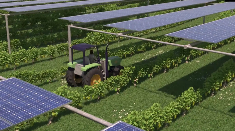 August 27, 2025Experts see in agrivoltaics an opportunity for the industrial specialisation of Spanish photovoltaics
