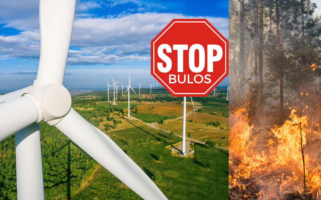 September 2, 2025Wind industry counters myths: wind farms as allies against wildfires