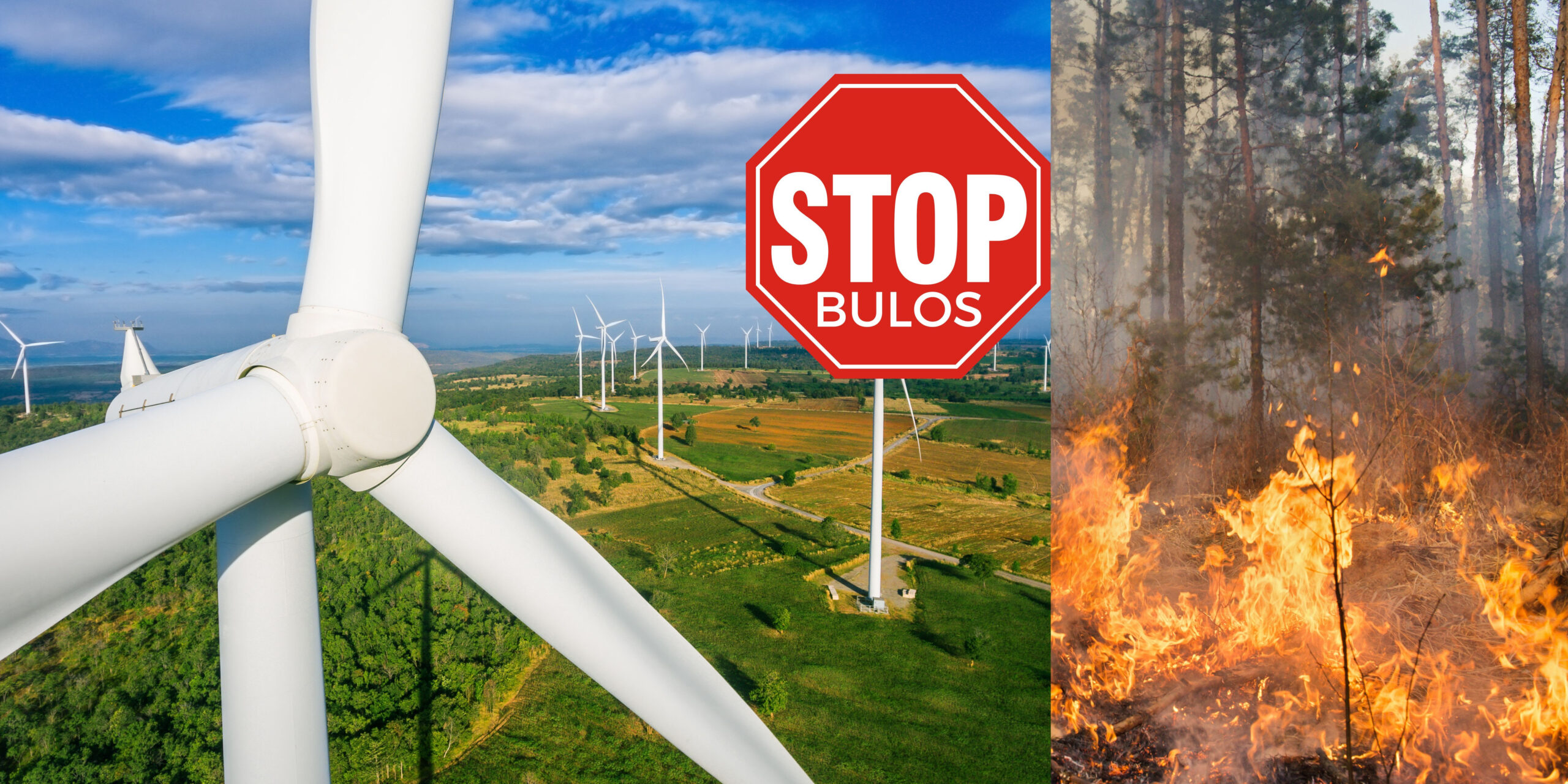 La patronal eólica desmonta bulos los parques eólicos, aliados frente a los incendios Wind industry counters myths: wind farms as allies against wildfires