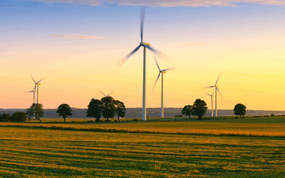 October 1, 2025El IDAE y el CIS elaborarán un barómetro 2025-2026 sobre la transición energética y la percepción social en torno a sus políticas