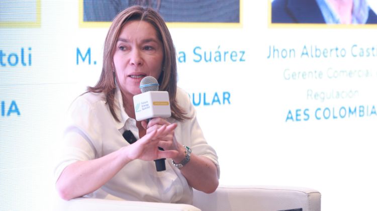 November 26, 2025“Without clear rules and efficient execution, energy investment in Colombia will stall,” warns Suárez
