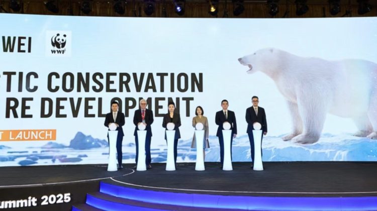 SEE-3-1-scaled-e1764245624268 tongwei