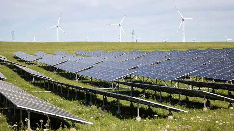 January 29, 2026USD 30m in lost solar power: can BESS curb curtailment in the Dominican Republic?