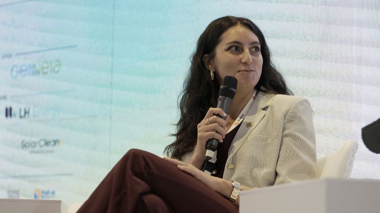 March 16, 2026Argentina’s 700 MW BESS tender attracts global battery suppliers