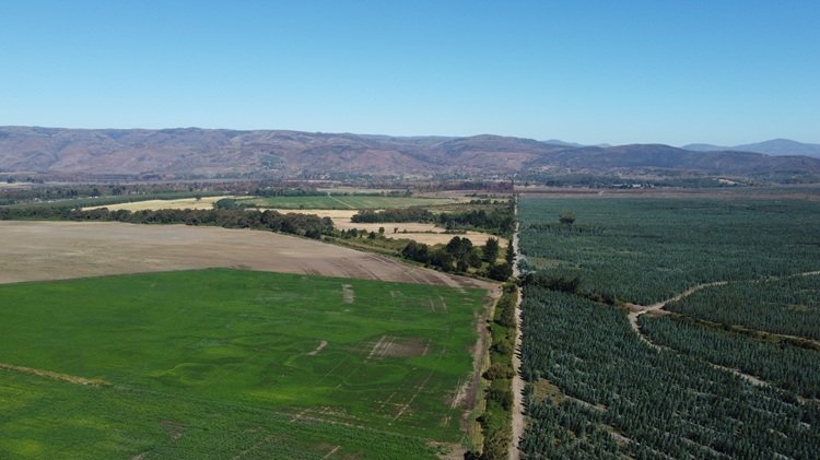 March 9, 2026EDF Power Solutions secures environmental approval for 128 MW Fénix wind project