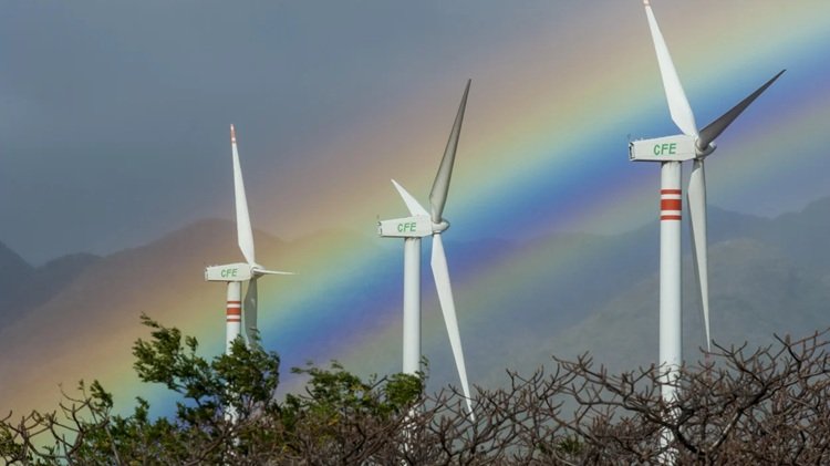 mexico renewable